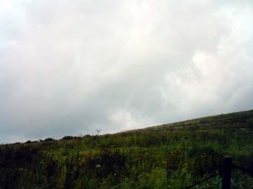 080913l.jpg