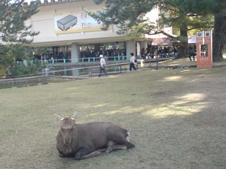 111112b.jpg
