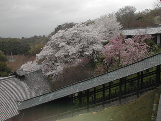 1150404i.jpg