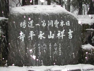 1213d1.jpg