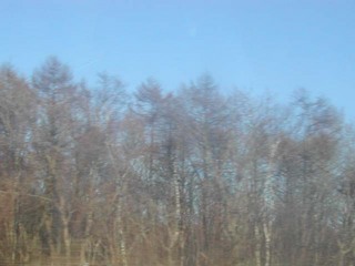 131124c.jpg