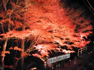 131130o.jpg