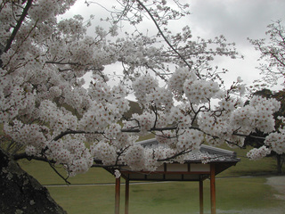 150404h.jpg
