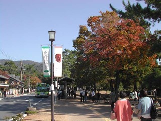171102d.jpg