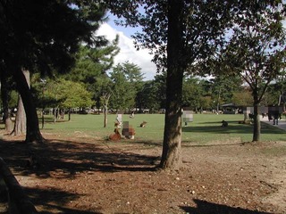 200927c.jpg