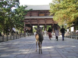 200927e.jpg